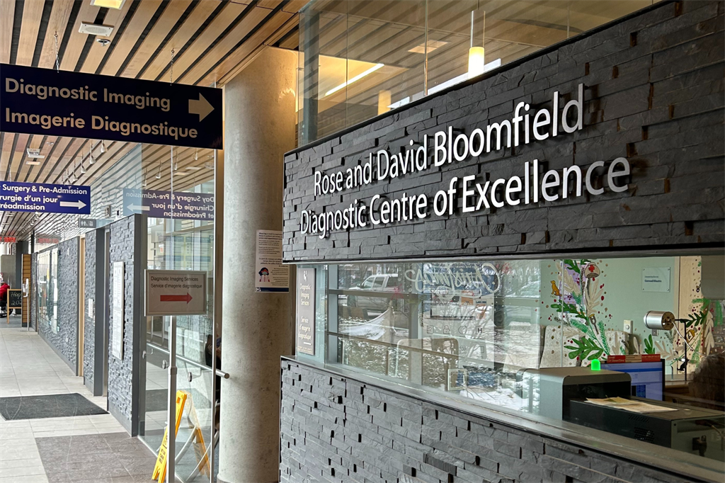 DI Centre of Excellence